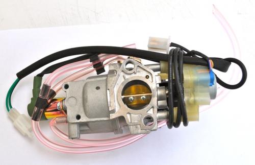 Carburettor complete with stepper motor IG6000